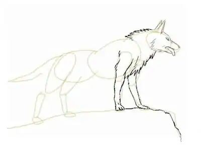 Download Hack How to draw a wolf step by step MOD APK? ver. 1.0