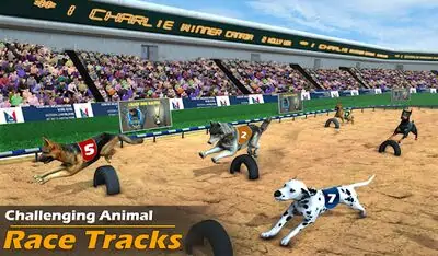 Download Hack Racing Dog Simulator: Crazy Dog Racing Games [Premium MOD] for Android ver. 2.0.0