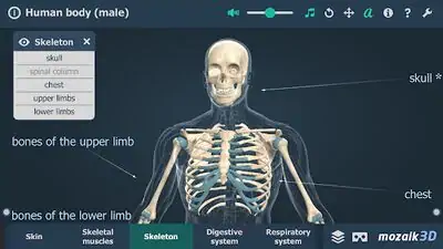 Download Hack Human body (male) educational VR 3D MOD APK? ver. 1.26