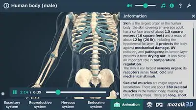Download Hack Human body (male) educational VR 3D MOD APK? ver. 1.26