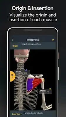 Download Hack Anatomy by Muscle & Motion MOD APK? ver. 2.2.8