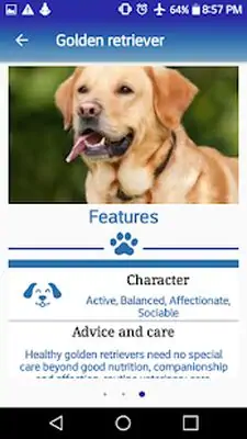 Download Hack Dog in Home: Choose ideal dog MOD APK? ver. 1.1