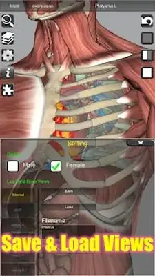 Download Hack 3D Bones and Organs (Anatomy) MOD APK? ver. Varies with device