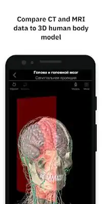 Download Hack Pirogov Anatomy [Premium MOD] for Android ver. 2021.03.28