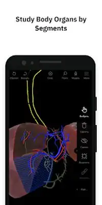 Download Hack Pirogov Anatomy [Premium MOD] for Android ver. 2021.03.28