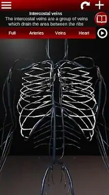 Download Hack Circulatory System in 3D (Anatomy) MOD APK? ver. 1.58