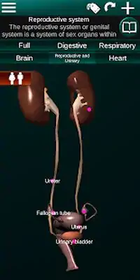 Download Hack Internal Organs in 3D (Anatomy) [Premium MOD] for Android ver. 2.5