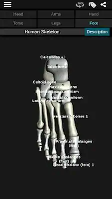 Download Hack Osseous System in 3D (Anatomy) MOD APK? ver. 3.0.7