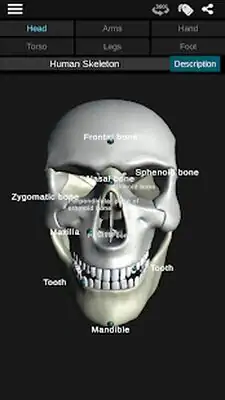Download Hack Osseous System in 3D (Anatomy) MOD APK? ver. 3.0.7