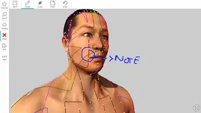 Download Hack Visual Acupuncture 3D MOD APK? ver. 3.3