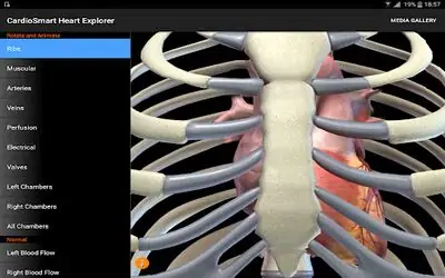 Download Hack CardioSmart Heart Explorer MOD APK? ver. 2.3.0.0