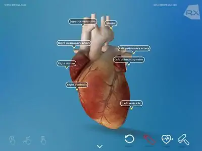 Download Hack Heart Explore 3D MOD APK? ver. 1.0