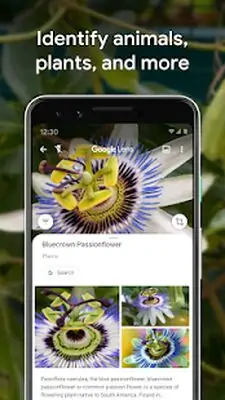 Download Hack Google Lens [Premium MOD] for Android ver. Varies with device
